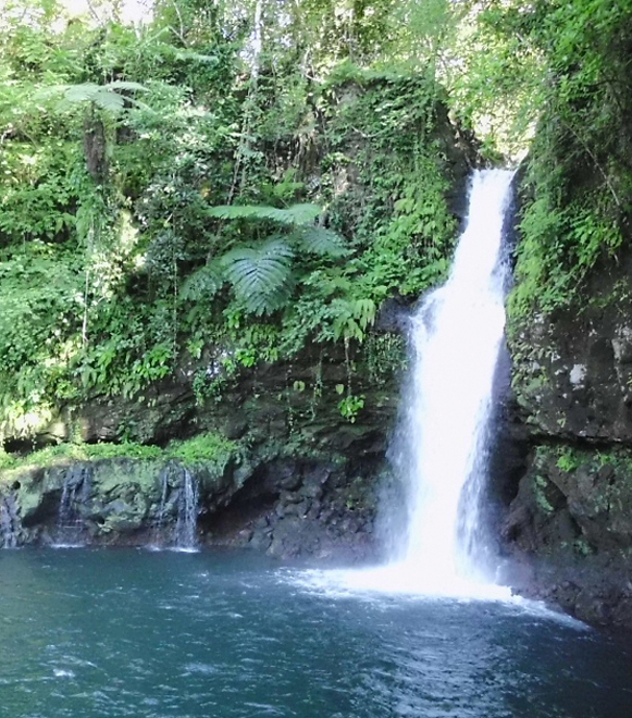 Afu Aau Waterfall (Olemoe Falls)