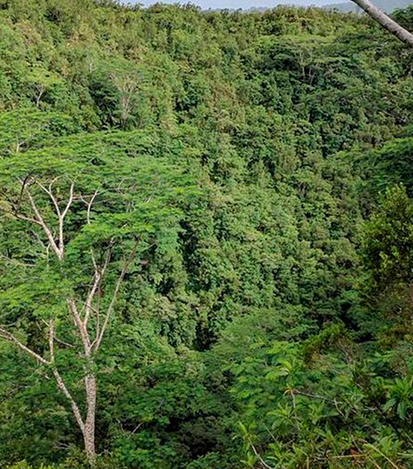 Mount Matavanu Crater